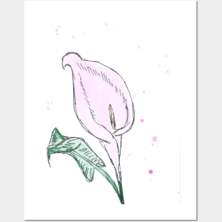 Calla flower. Watercolor, art decoration, sketch. Illustration hand drawn modern Posters and Art